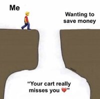 person-wanting-save-money-cart-really-misses.jpg