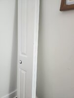 1000020419.jpg