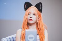 hayoungcat.jpg