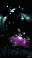 1000016478.gif