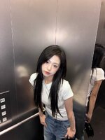 13081.jpg