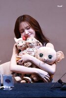 13903.jpg