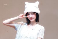 13919.jpg