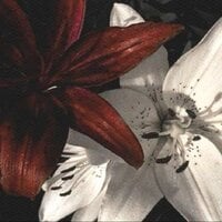 IMG_4086.jpeg