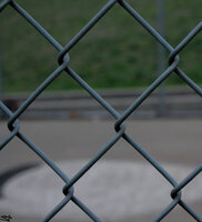 Simplicity (Fence).jpg