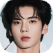 Wenjun
