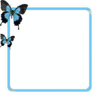 Regular Frame #79