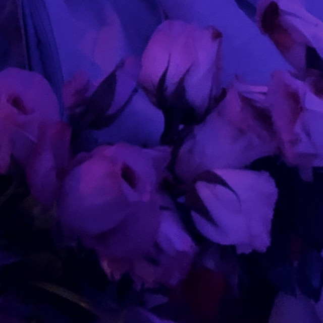 open.spotify.com