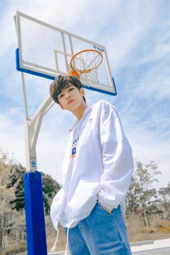 n.news.naver.com
