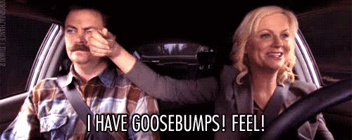 Image result for is this really happening gif
