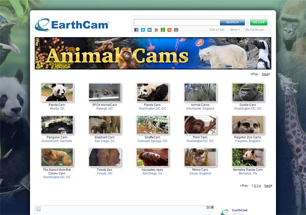 www.earthcam.com