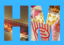 hollywoodmash.com