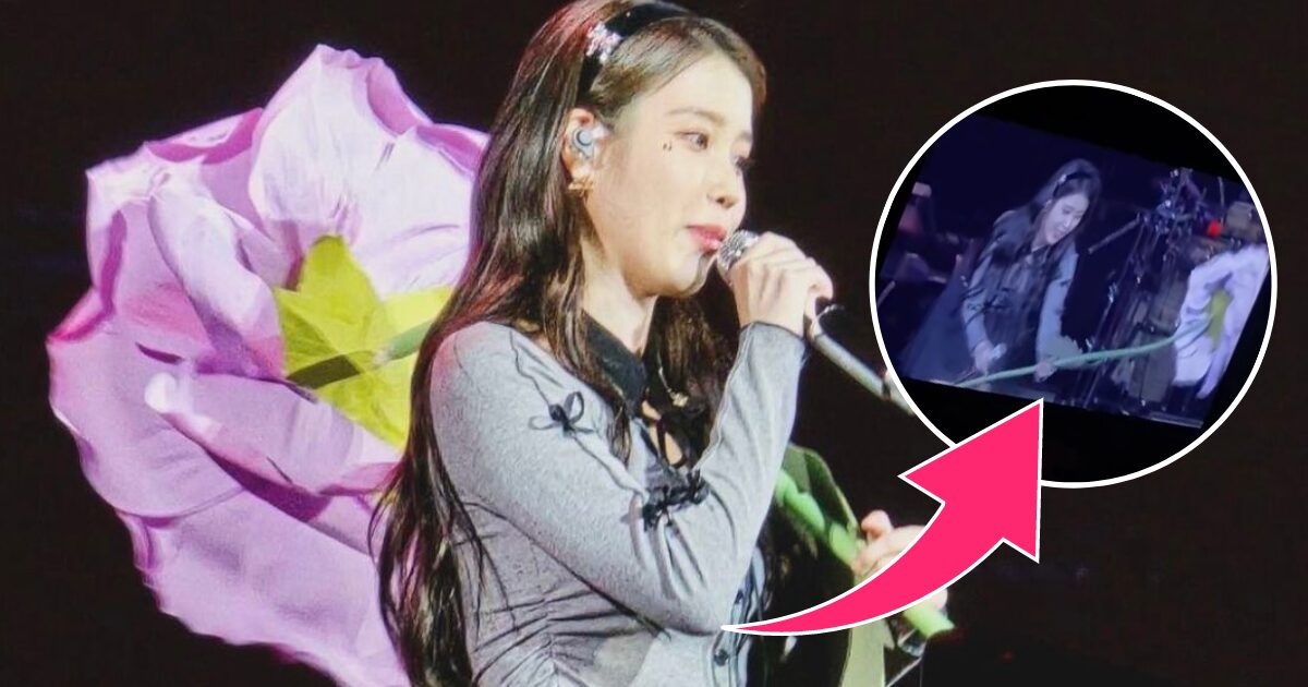 www.koreaboo.com