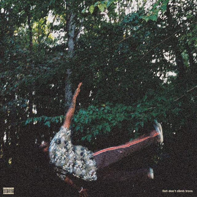 fish don't climb trees